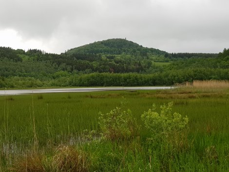 Blick von der Zinnwald-Erz Spülkippe auf den Geisingberg