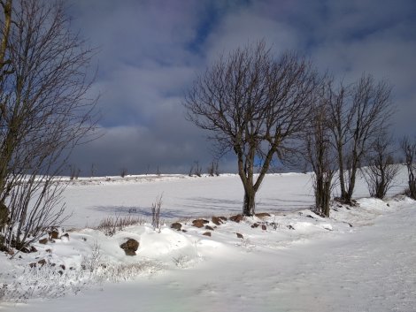 Winter im Osterzgebirge (Foto: H.Schmidt)