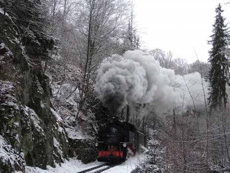 Die Weißeritztalbahn im Rabenauer Grund (Foto: H. Schmidt)