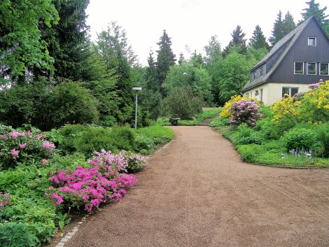 Blütenpracht im Botanischen Garten Schellerhau