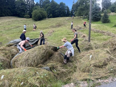 Studierende beim Schellerhauer Naturschutzpraktikum 2024 (Foto: J. Pollakis)